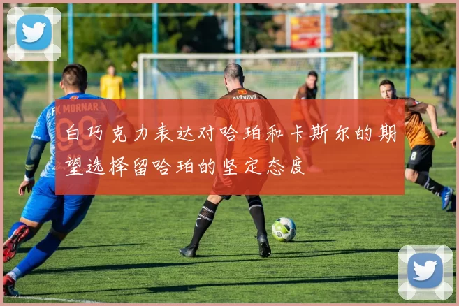 白巧克力表达对哈珀和卡斯尔的期望选择留哈珀的坚定态度