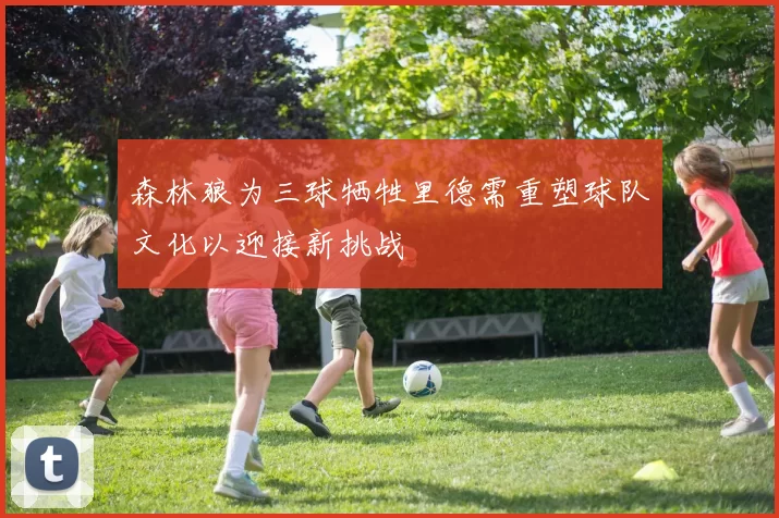森林狼为三球牺牲里德需重塑球队文化以迎接新挑战
